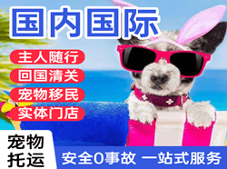 安阳红旗渠航空托运国际宠物托运 【国